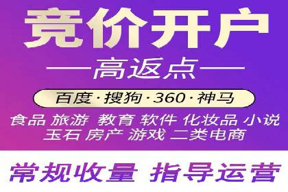 某sem公司成功案例揭秘